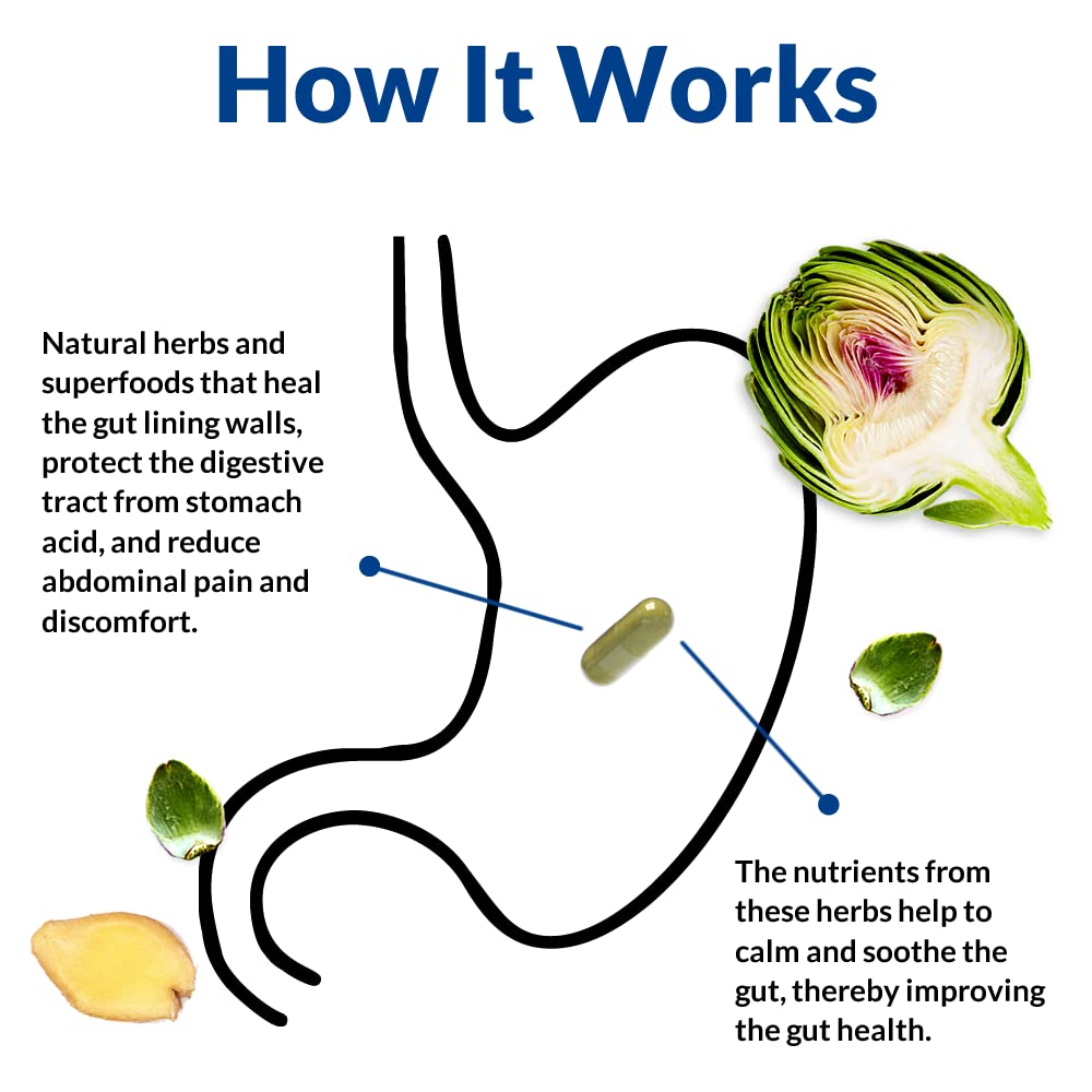 Gut Alive - All Natural Support to Fight IBS, Heartburn, Acid Indigestion, Acid Reflux, Bloating & Gas. Unique Formulation (60 Count)